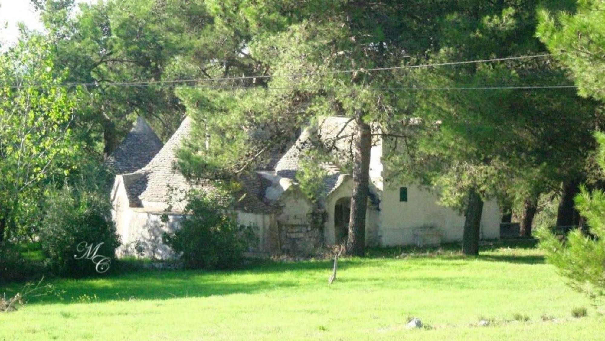 Harry'S House Bed & Breakfast ฟาซาโน ภายนอก รูปภาพ