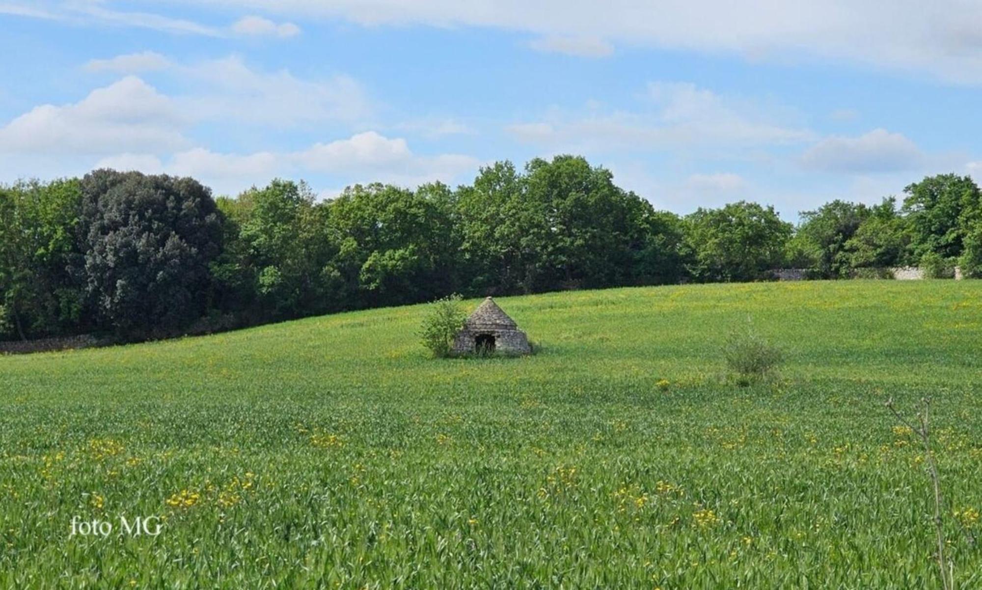 Harry'S House Bed & Breakfast ฟาซาโน ภายนอก รูปภาพ